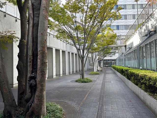 学びと交流をつなぐ架け橋